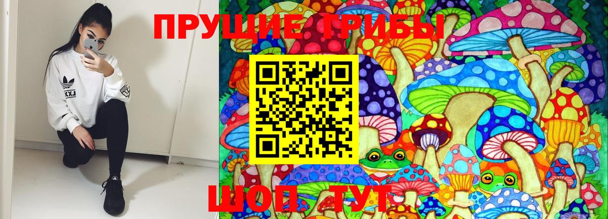 Псилоцибиновые грибы MAGIC MUSHROOMS  Вход с VPN  Фролово 
